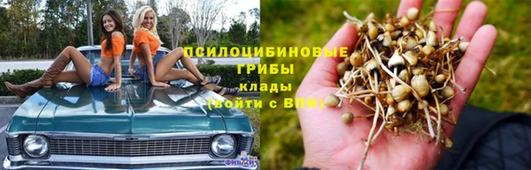 дмт Семикаракорск