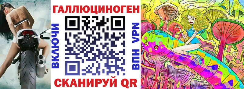 купить наркоту  Дмитриев  Галлюциногенные грибы Psilocybe 